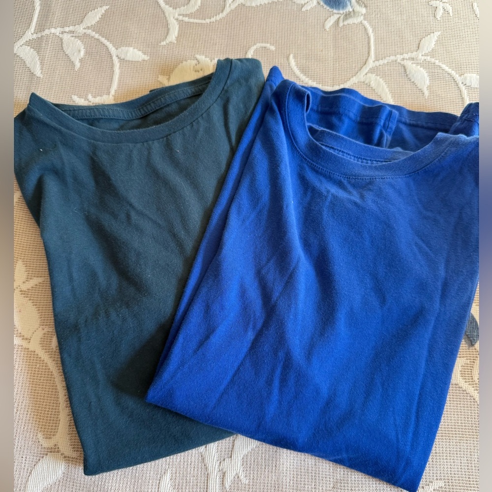 Two Classic Blue Men's T-Shirts
